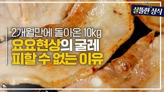 이젠 정말 지긋지긋한 요요현상 우리가 요요를 벗어날 수 없는 이유는 뭘까?｜다큐 플러스｜JTBC 231008 방송