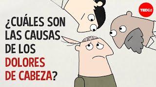 ¿Cuáles son las causas de los dolores de cabeza? - Dan Kwartler