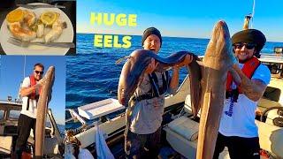 MONSTER CONGER EELS - Shipwreck Fishing in 200ft of water , Catch Clean Cook