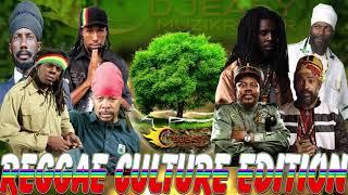 REGGAE MIX 2020 CULTURE EDITION MORGAN HERITAGE,CAPLETON,SIZZLA,LUCIANO,CHRONIXX,RICHIE SPICE & MORE