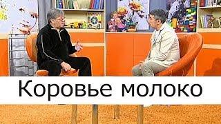 Коровье молоко - Школа доктора Комаровского