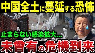 中国全土に蔓延する恐怖...とまらない感染拡大で中国崩壊へ【ゆっくり解説】