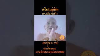 อะไรก็อยู่ที่จิต ธรรมขั้นไหนก็อยู่ที่จิต... หลวงปู่บุดดา ถาวโร