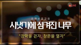 25.1.11 시냇가에 심겨진 나무 - 장막을 걷자, 창문을 열자