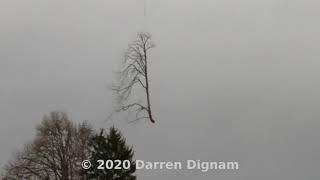 Helicopter Tree Surgery