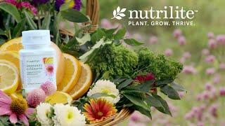 Nutrilite Immunity Echinacea