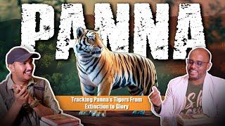 The Wild Chronicles: Panna’s Majestic Tigers