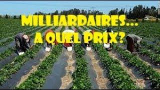 Oui l'agriculture rend milliardaire... mais ayez en tête ces 13 choses avant de vous lancer