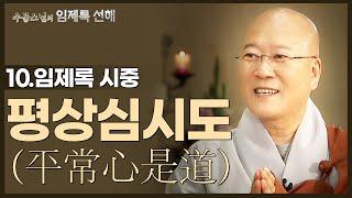 [#수불스님] 10.평상심(平常心)이 도(道)다 | 임제록 선해-시중