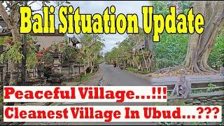 The Cleanest and Peaceful Village In Ubud..??? Nyuh Kuning Village Ubud | Bali Situation Update