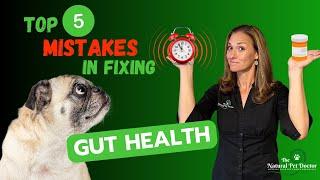 Avoid These 5 Mistakes When Boosting Your Pet's Gut Health Naturally!