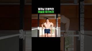 가장 체계적인 머슬업 테크트리