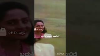 ಅಂಬರ ಚುಂಬಿತ - ಶೃಂಗಾರ ಕಾವ್ಯ/Ambara Chumbitha -Srugarakavya /old kannada/sp balasubramanyam#shorts