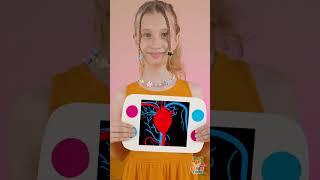 Let's Learn What's Hiding Inside Our Body  #kidsvideo #learning