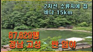 87,629평 경남 싼 임야,  바다 가까운 대형임야, 남향