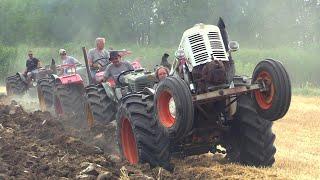 Old tractors | Landini testacalda, FIAT, SAME - Aratura & show @ Roncoferraro (MN)