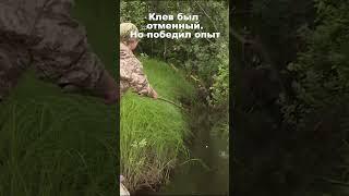 Рыба бешено клевала на голый крючок