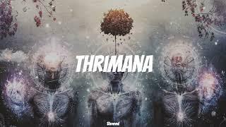 Ramesses Reezy -THRI MAANA (Slowed) ඔව් වෙනයි මං, මගේ වර්ගෙන් එකයි බං!