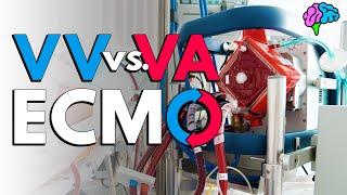 VV vs VA ECMO Explained!