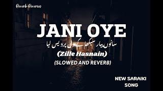 Jani Oye New Trending song | Zille Hasnain | Sanu Piyar Sikha Ke Mal Pardes Liyae. Jani oye Lyrics