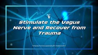 Spooky2 Rife Blog - Stimulate the Vagus Nerve and Recover from Trauma