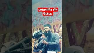 কোরবানি র চাঁদ উঠেছে। আবরারুল হক আসিফ নতুন বয়ান। Abrarul Hoque Asif waz #rafsan_islamic_tv