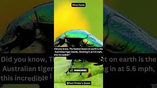 Do you know what the fastest beetle is? #shorts #interesting #facts #tigerbeetle