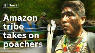 Modern technology helps Amazon tribe combat illegal poaching