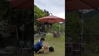 언제나 신나는 꽃쇼핑 #수국 #화이트셀릭스 #텃밭 #정원 #전원생활
