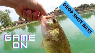 Awesome Day Drop Shot Fishing for Bass