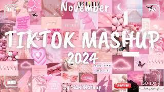 Tiktok Mashup November 2024 (Not Clean)