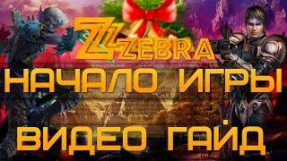 ZZEBRA PW — ВИДЕО ГАЙД