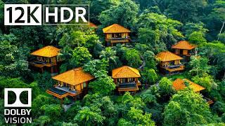 Ultimate Relaxing Nature Soundscapes in 12K HDR 120fps | Dolby Vision Test