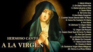 Hermoso canto a la VIRGEN || Música para sanar todos los dolores del cuerpo, alma y Espíritu