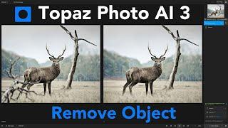 Topaz Photo AI 3: Impressive Results with My New Mac - Remove Object Tool Review