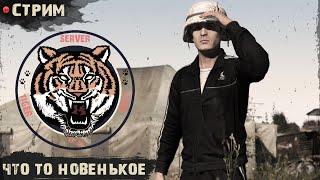 СМОТРИМ ТИГРА | TIGER DayZ server | PVP-PVE | DayZ 1.25