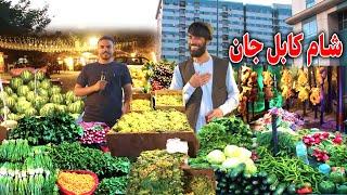 شام کابل، گزارش ضیا صالحی از گلوله پشته /Zia report of Kabul night kolola pushta