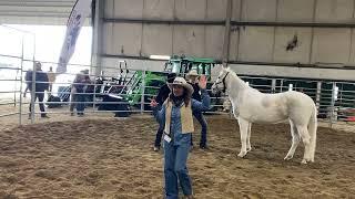 Idaho Horse Expo - Part 1 Introduction