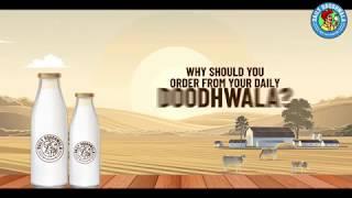 Why choose Your Daily Doodhwala?
