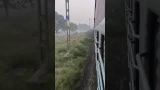 Village (Mera Gaon)️।। with the eye of Train ।। Thalwara Darbhanga