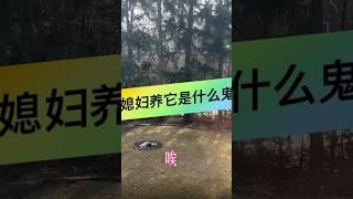 用我的母语上海话配音带你看加拿大生活，还搞出那么好玩的语音识别字幕，有意思 #简单生活