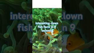 9 Seconds of Mind-Blowing Clownfish Facts #shorts #facts