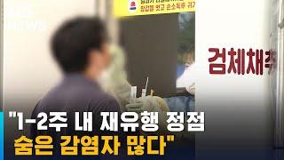 "1-2주 내 적은 규모로 재유행 정점" "숨은 감염자 많다" / SBS