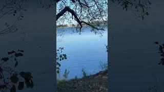Sailboat on Eagle Lake, MN #sailboat