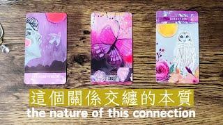 你們關係交纏的本質感情顯化，不限時間️黑皮好思HappyHouse Tarot⭐塔羅顯化與療愈