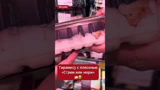 Жители #могилев исследуют торты с плесенью  #беларусь #belarus #качество #терамису  #торт #торты