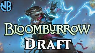 BLOOMBURROW DRAFT IS AMAZING!!!