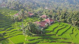 Kampung Indah Di Sawah Terasering, Sejuk & Bikin Betah | Suasana Pedesaan Jawa Barat Pakenjeng Garut