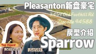 Pleasanton 360万豪宅房型介绍：采光绝佳自带居家office｜湾区硅谷美国买房卖房投资｜巢里有好事Lucas