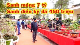 Cả làng kéo đến triển lãm xem cây tiền tỷ, sanh nam điền ký đá, sanh lá móng